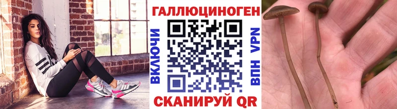 Купить закладки  Елабуга  Псилоцибиновые грибы MAGIC MUSHROOMS 